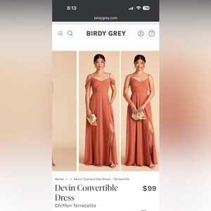 Birdy Grey Devin Terracotta Bridesmaid Dress Small Tailored